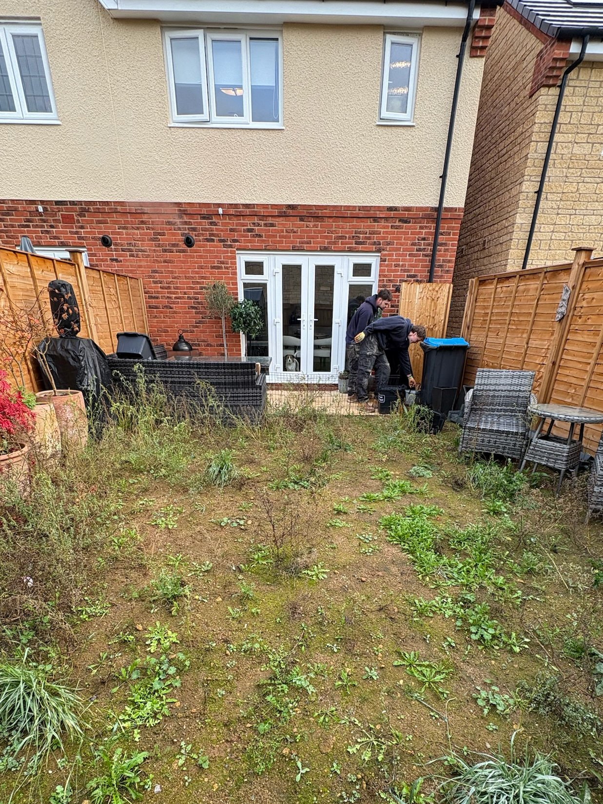 Before: an overgrown, waterlogged new-build garden with bare earth and weeds