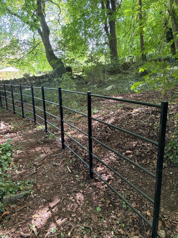 Metal estate fencing set along a wooded bank