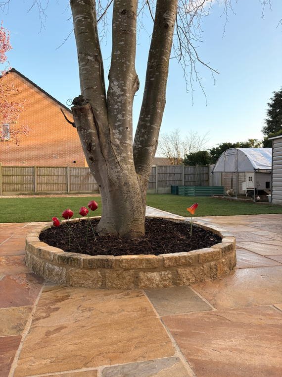 A circular sandstone ring cut into a terrace around a mature tree